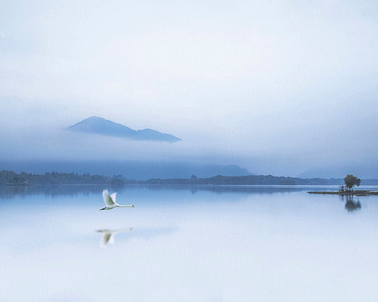 The Blue Solitude