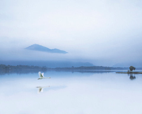 The Blue Solitude