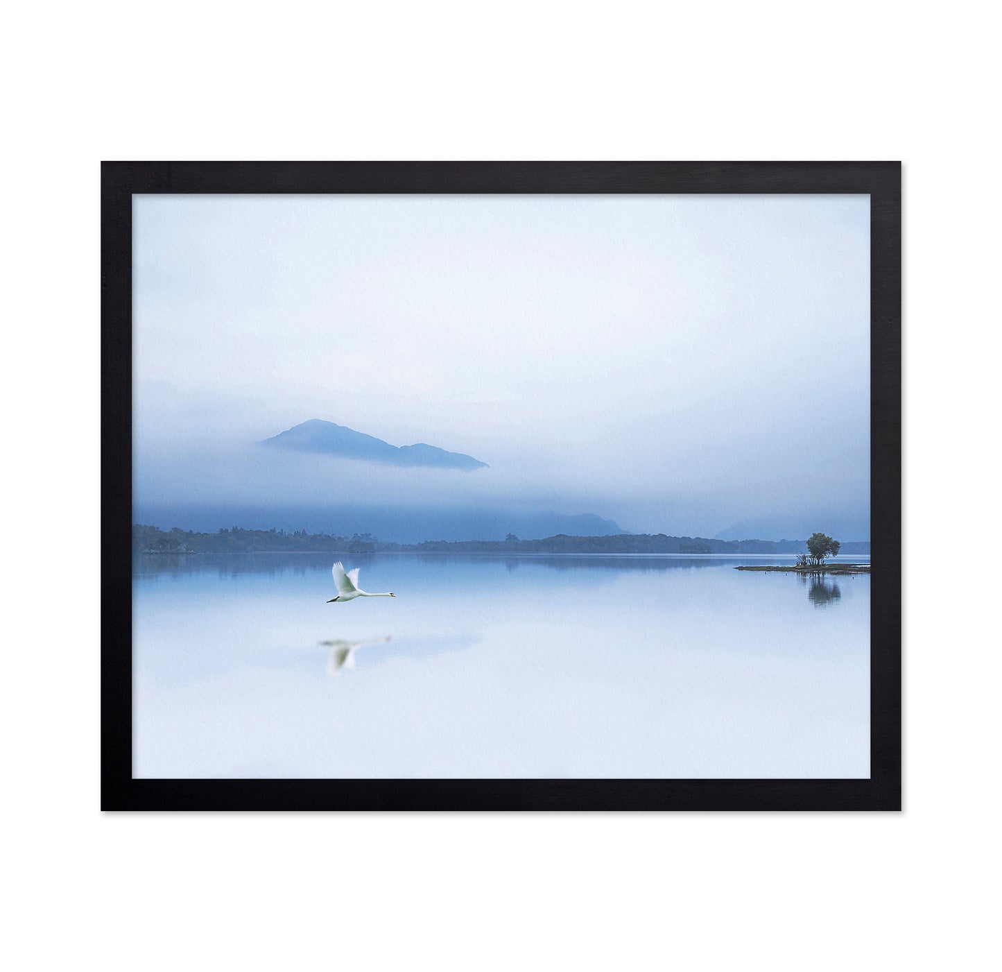 The Blue Solitude