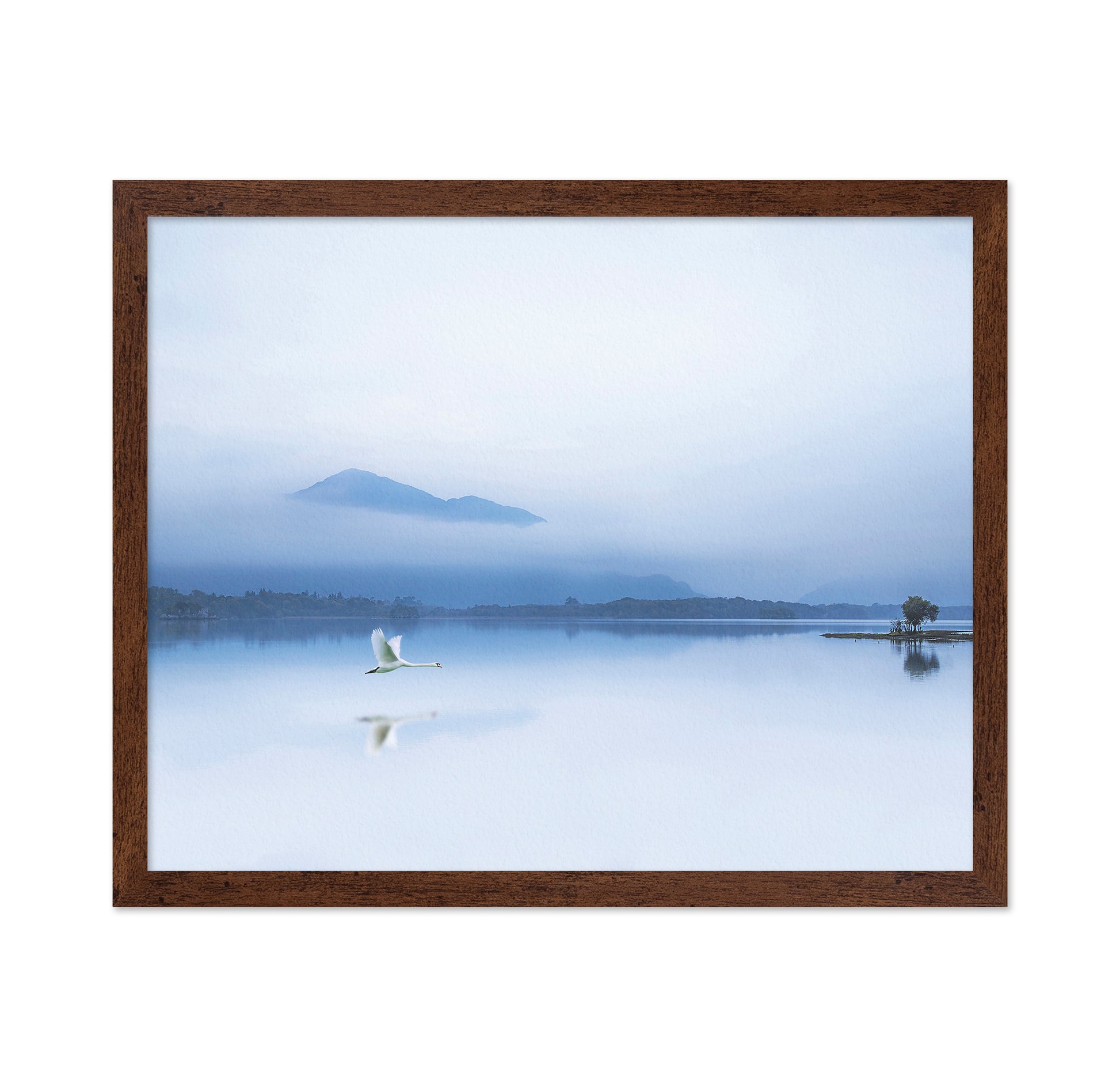 The Blue Solitude