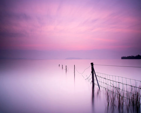 Milky Pink