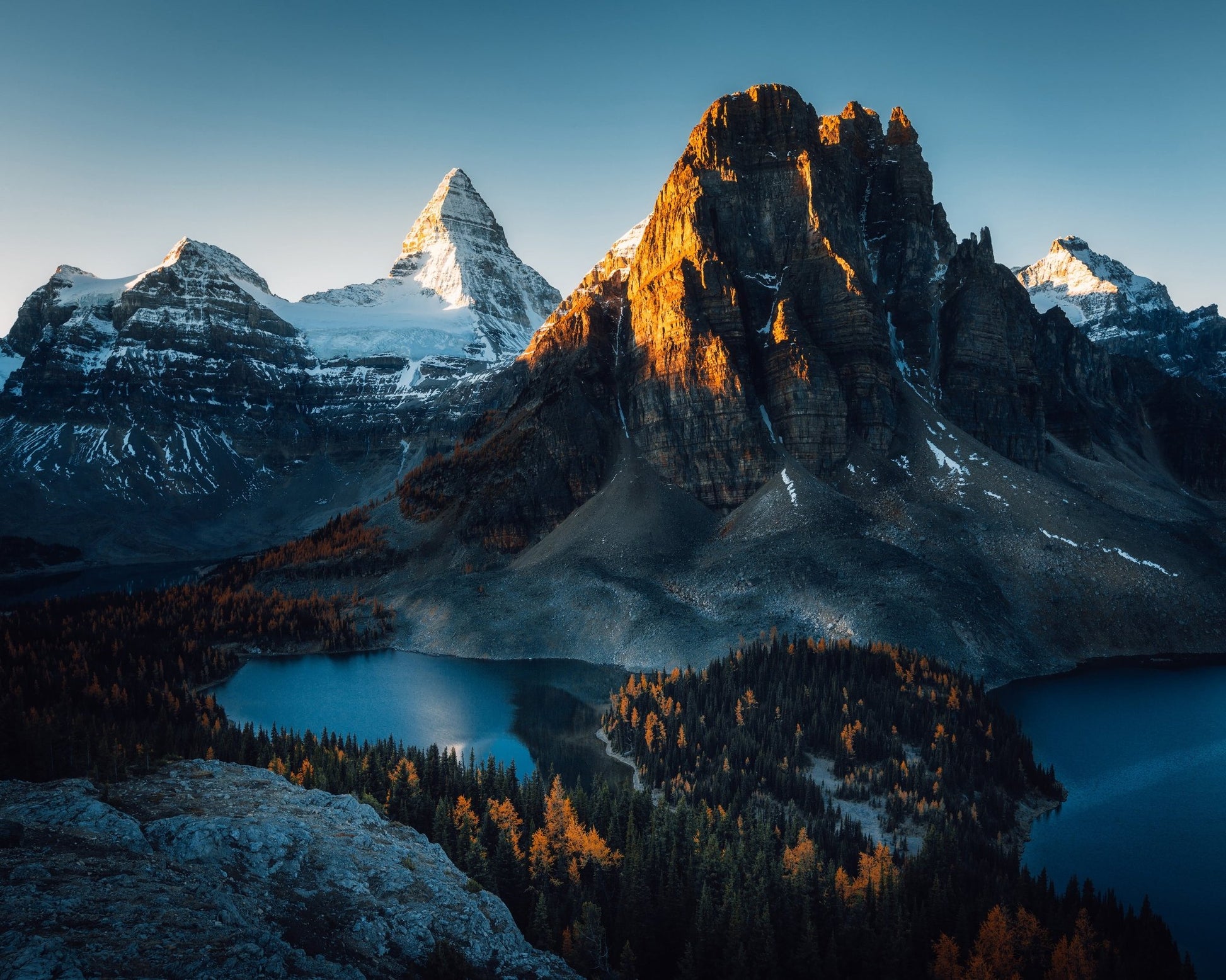 Morning Sunlight