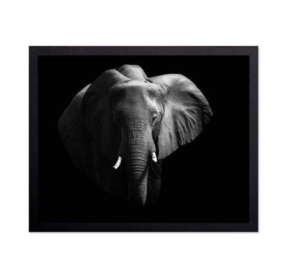 The African Elephant