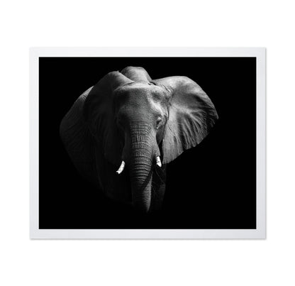 The African Elephant
