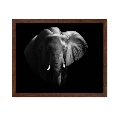 The African Elephant