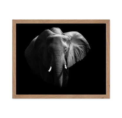 The African Elephant