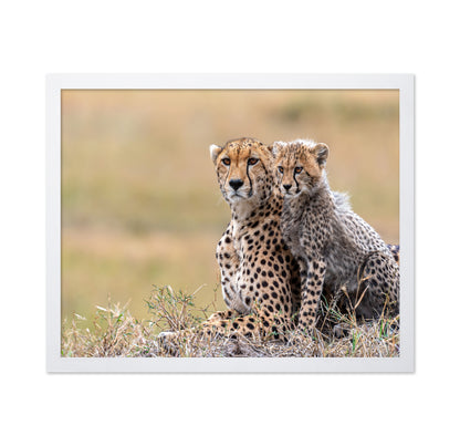 Cheetah Cub With Mom