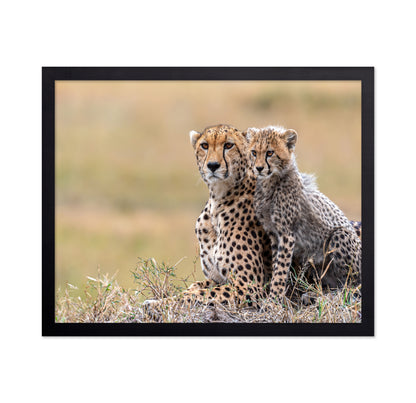 Cheetah Cub With Mom