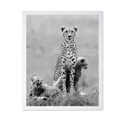 Cheetah Mother