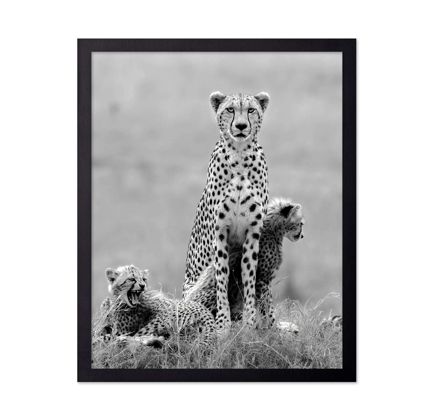 Cheetah Mother