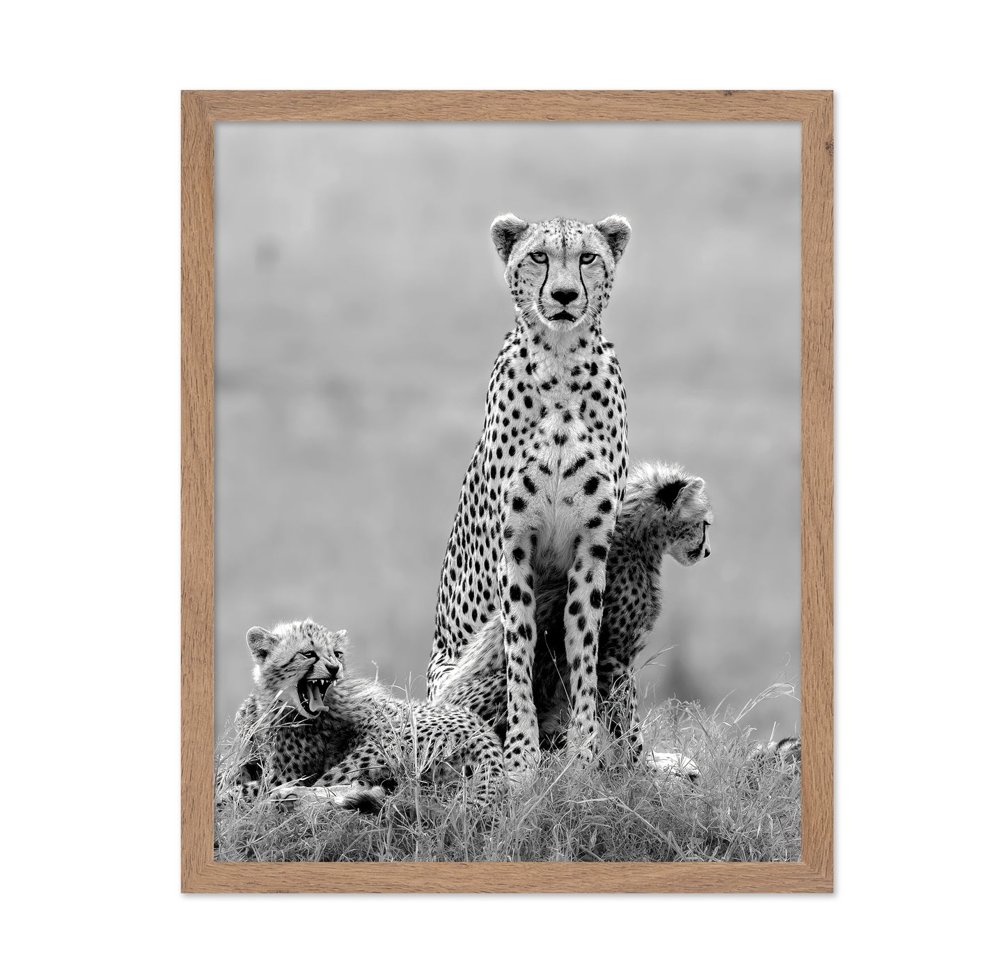 Cheetah Mother