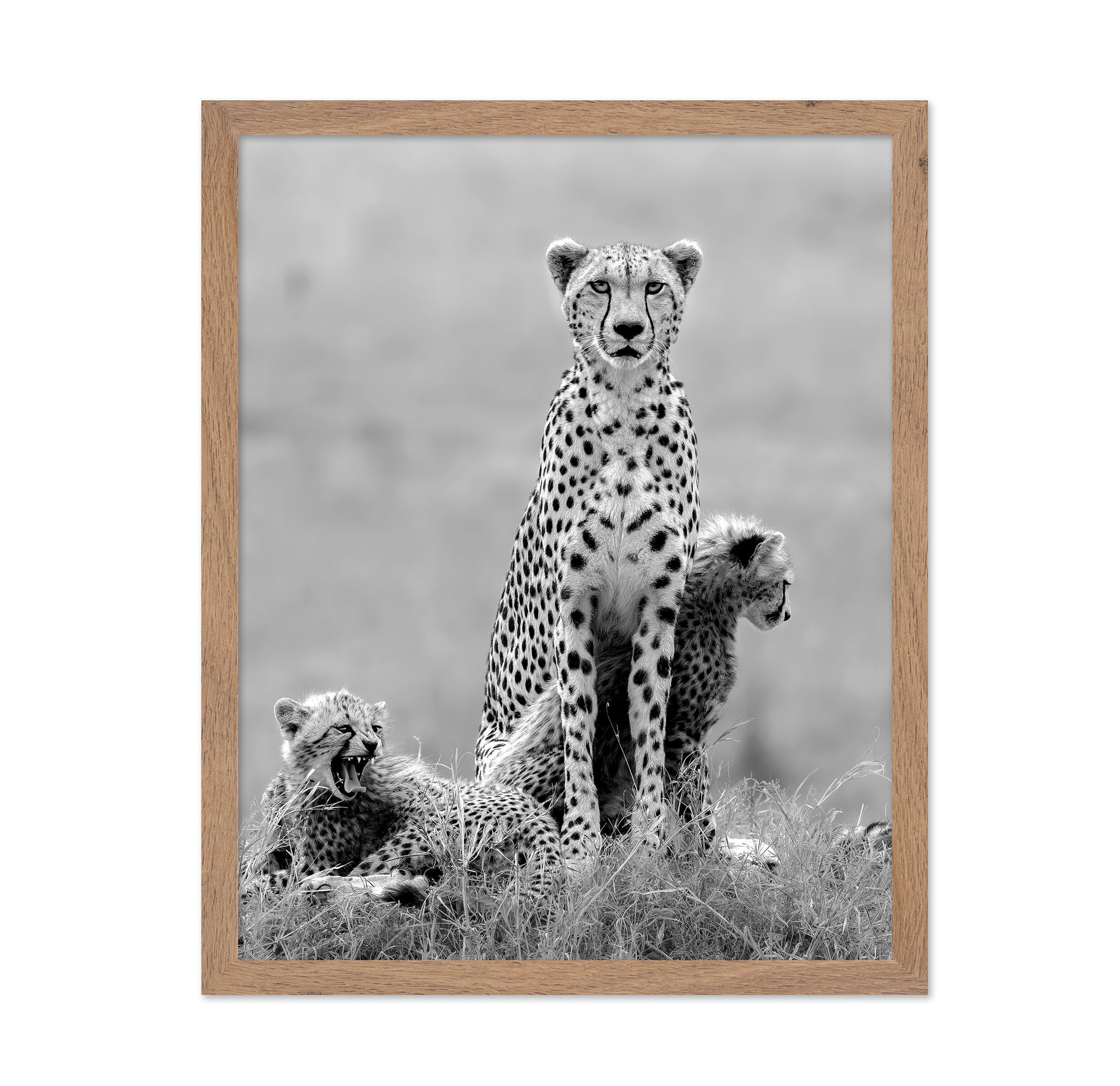 Cheetah Mother