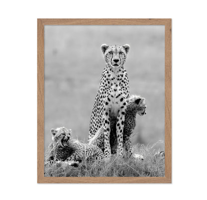 Cheetah Mother
