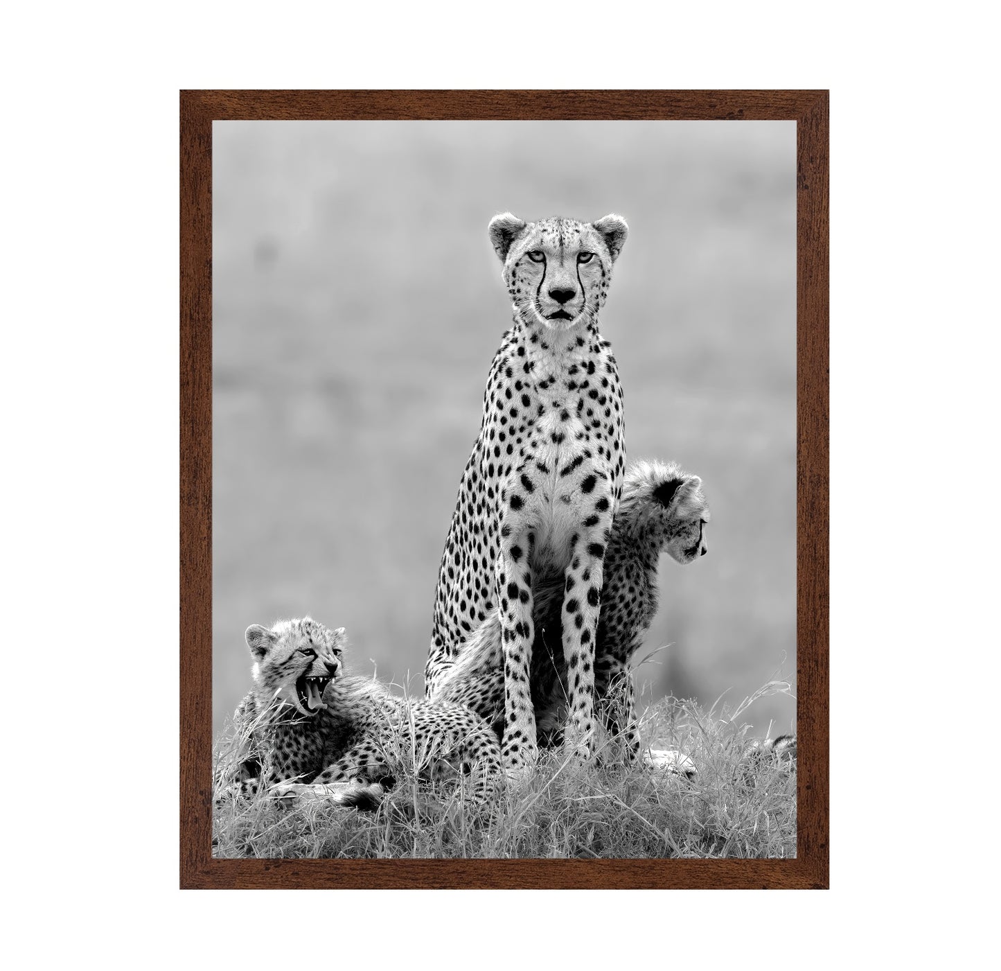 Cheetah Mother