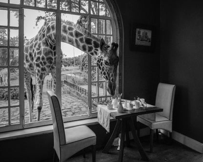 Breakfast Time