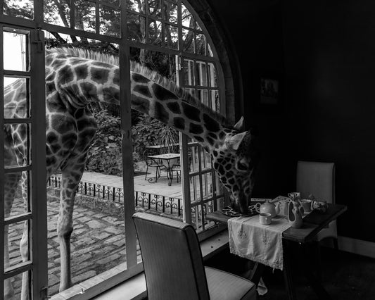 Giraffe Manor