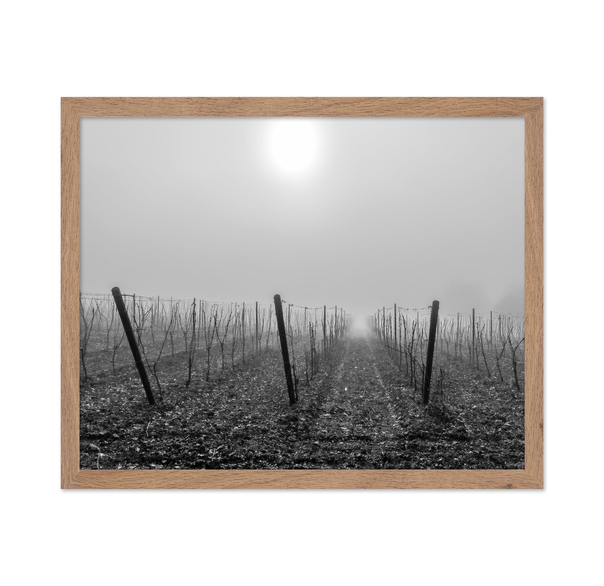 Vine Perfume