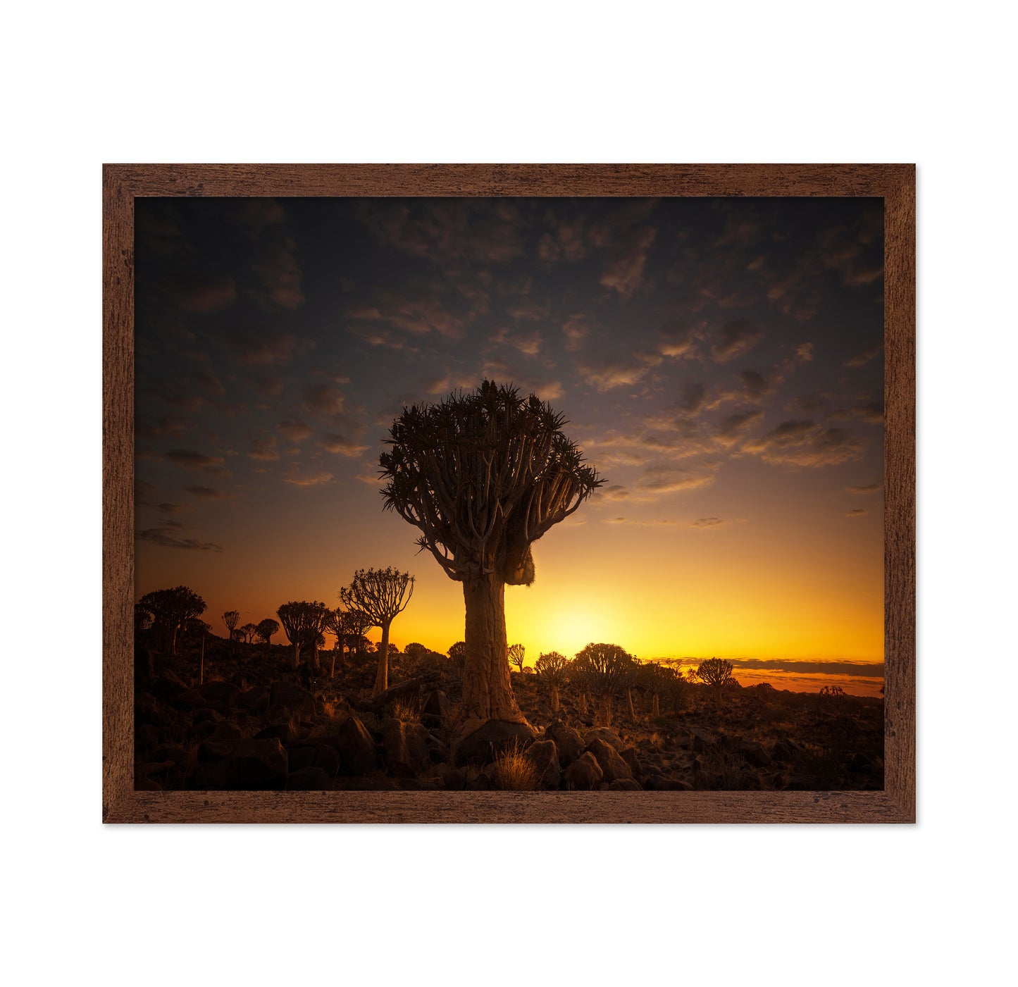 At Sunrise