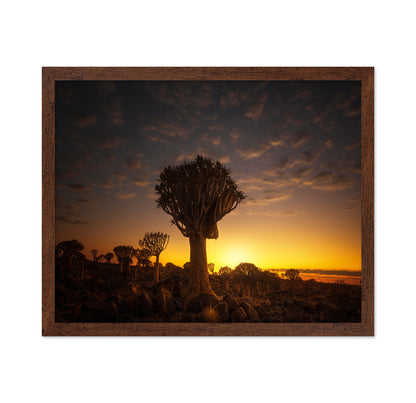 At Sunrise