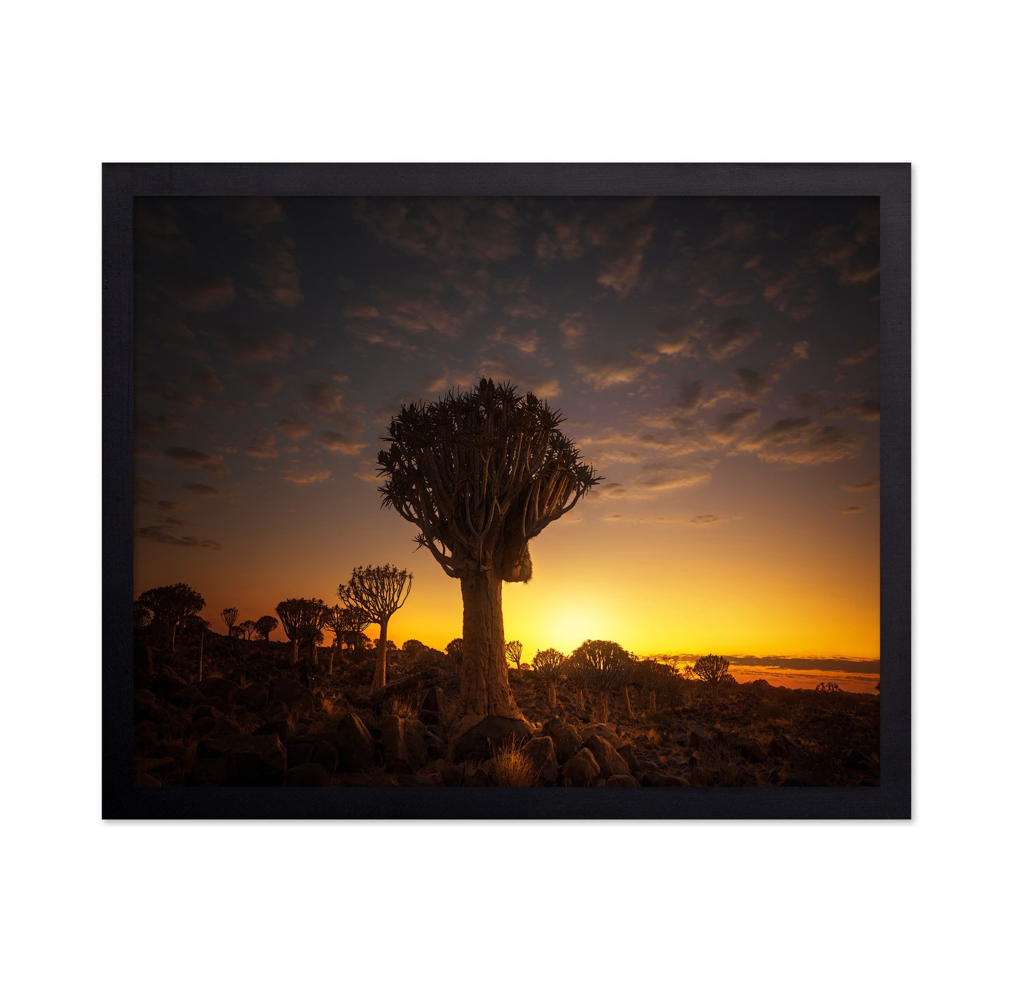 At Sunrise