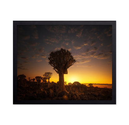 At Sunrise