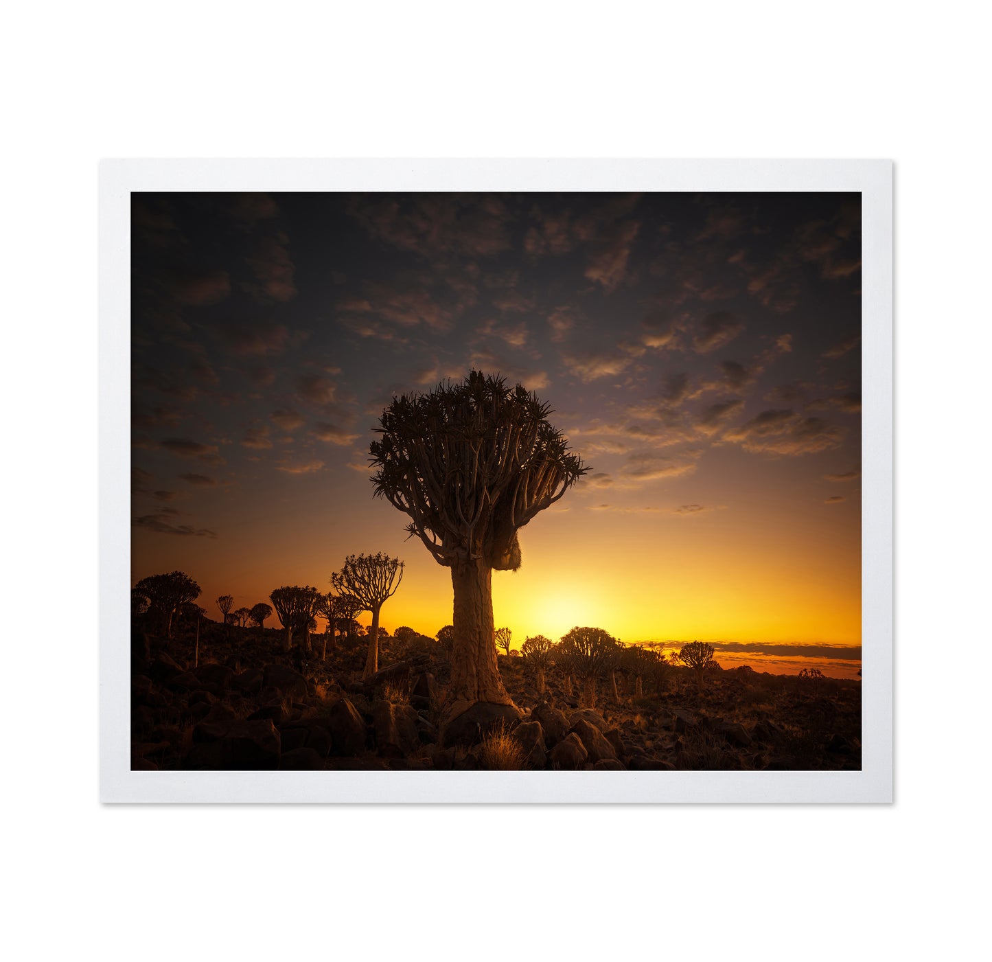 At Sunrise