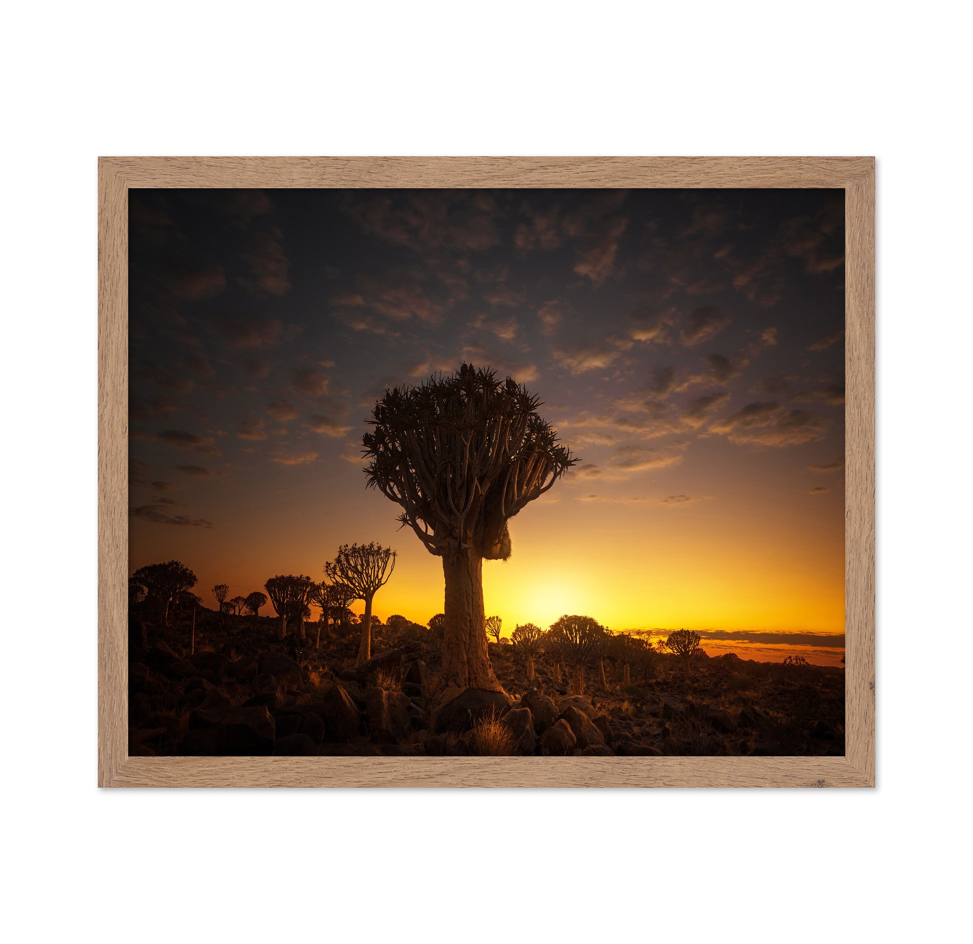 At Sunrise