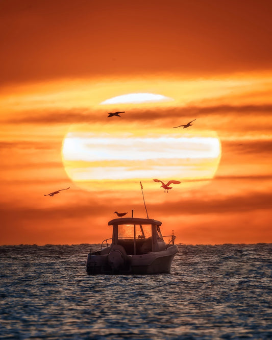 A Poem Of Light And Salt