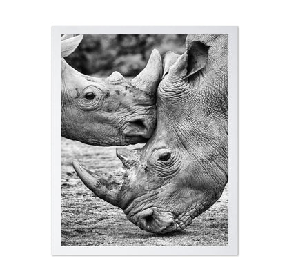 Rhino Face Off