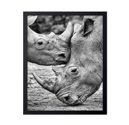 Rhino Face Off