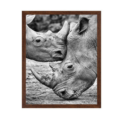 Rhino Face Off