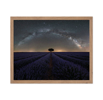 Alone in Lavender Dreams