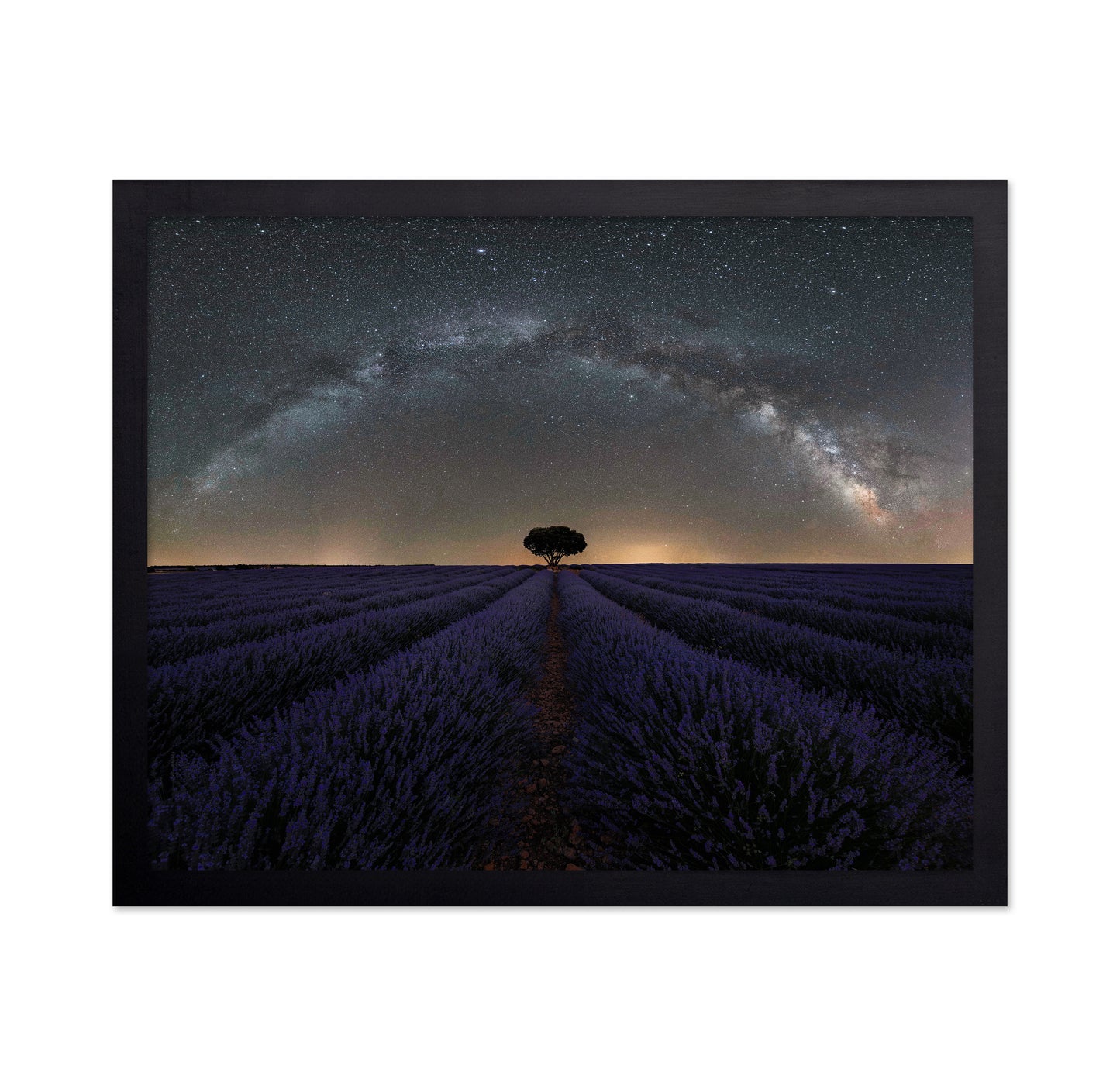 Alone in Lavender Dreams