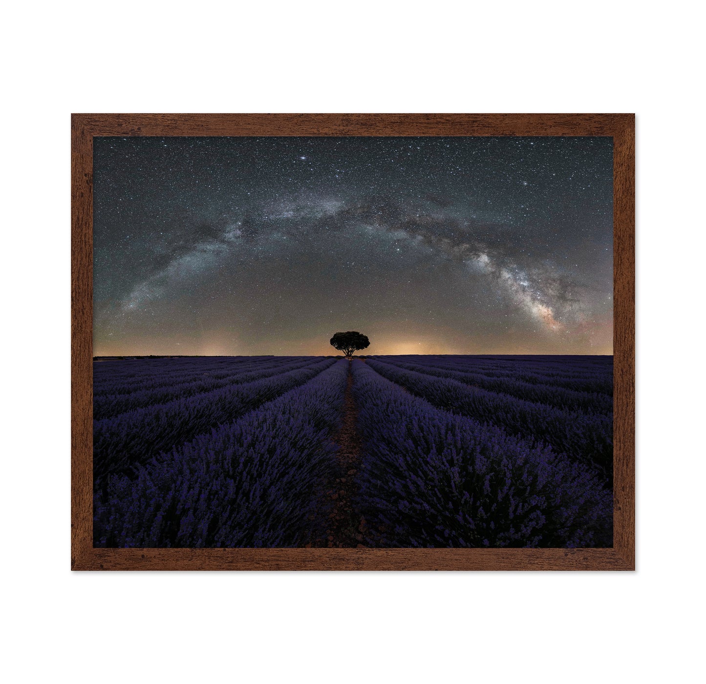 Alone in Lavender Dreams
