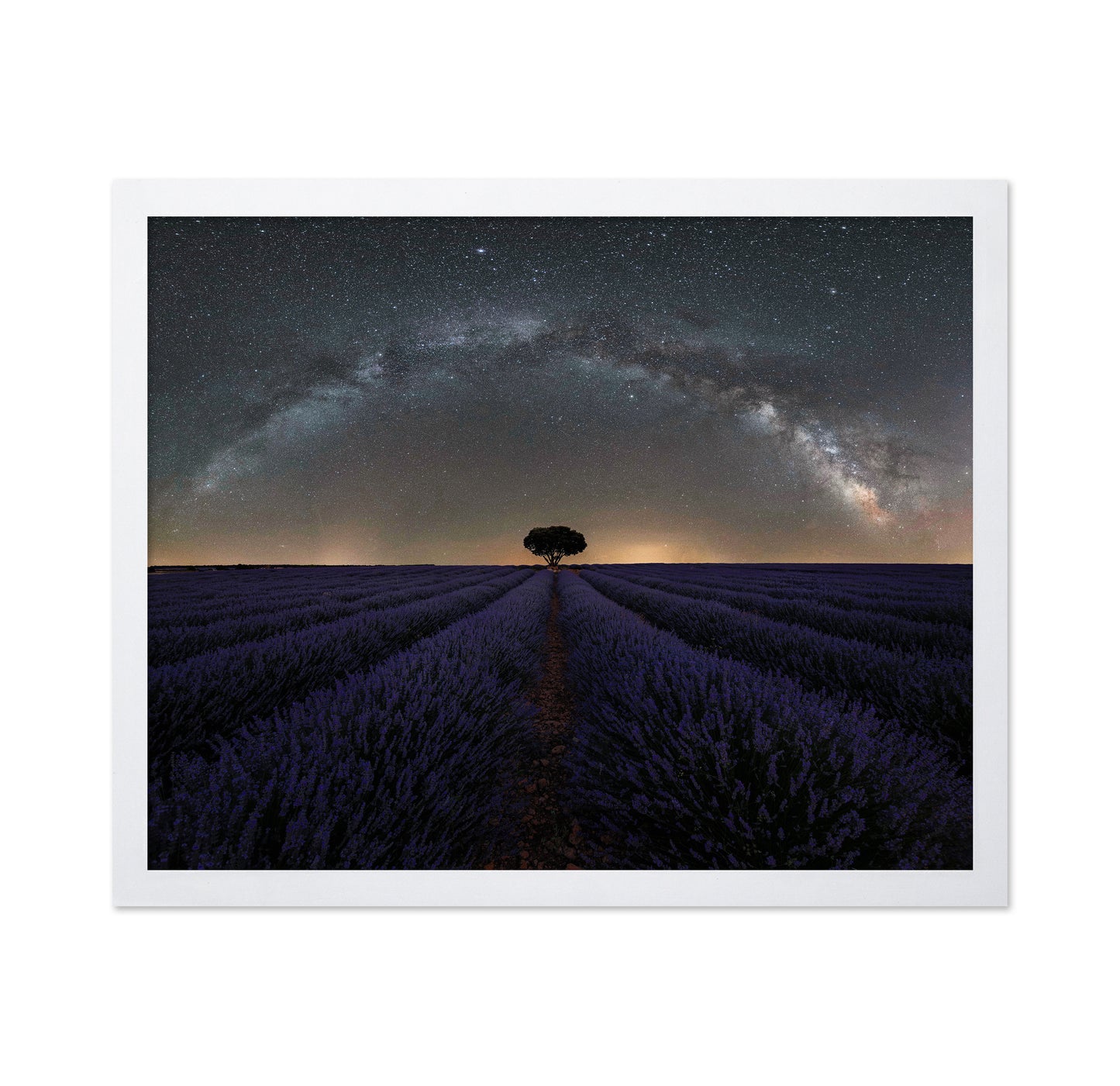 Alone in Lavender Dreams