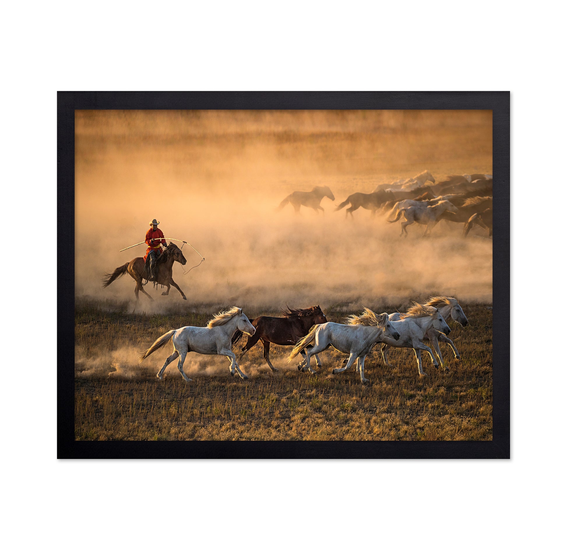 Mongolia Horses No 1