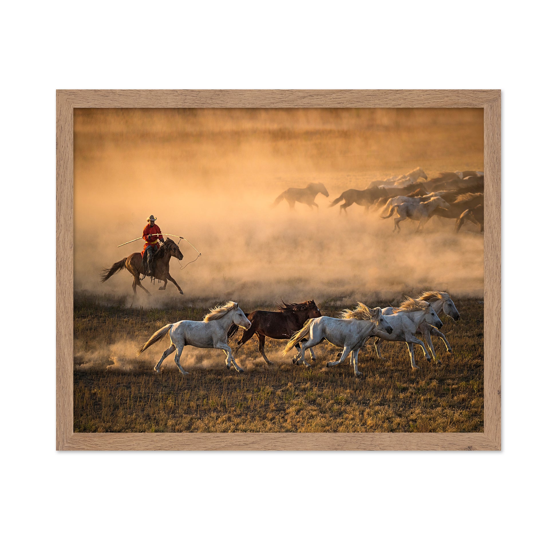 Mongolia Horses No 1