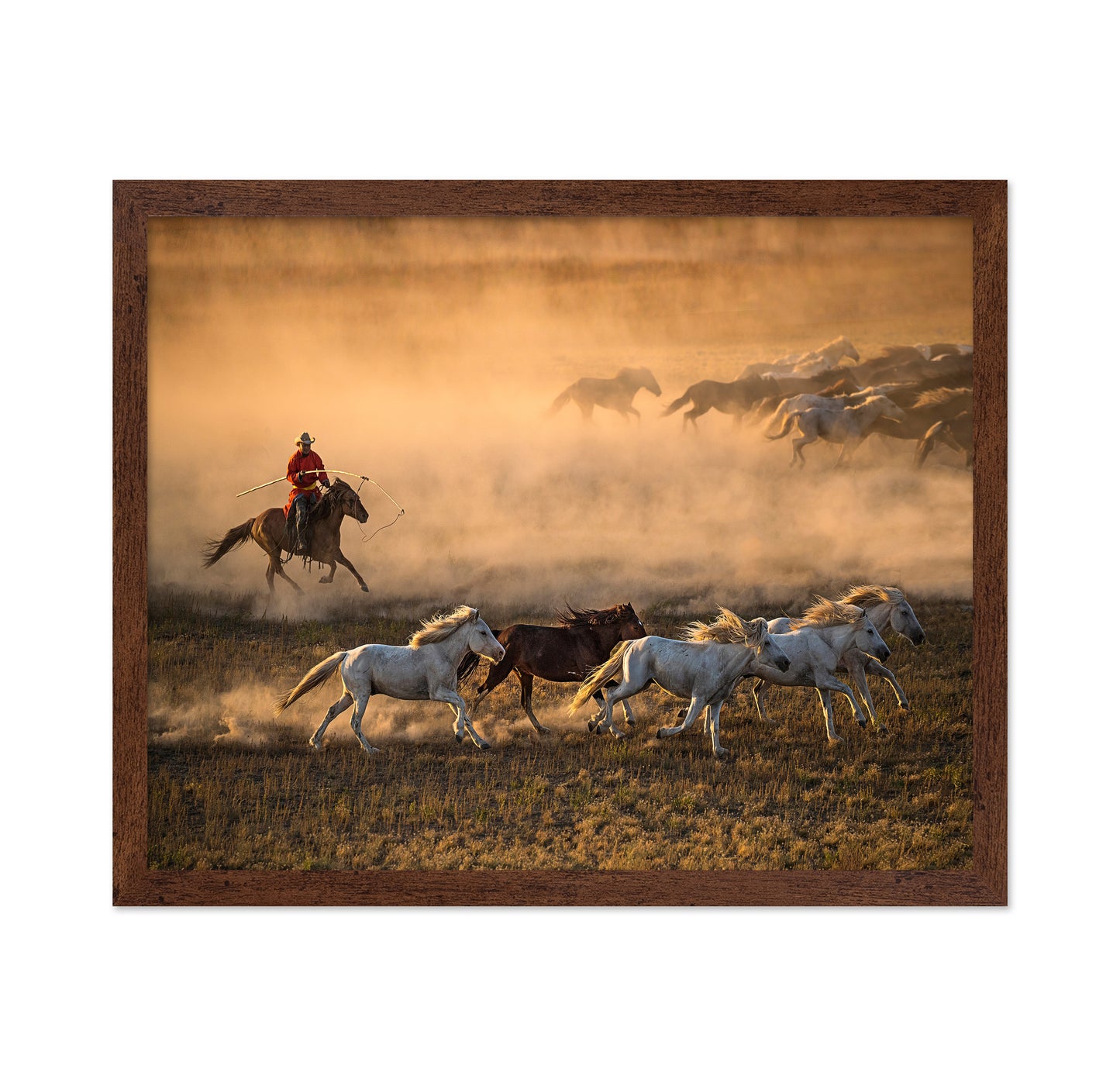 Mongolia Horses No 1
