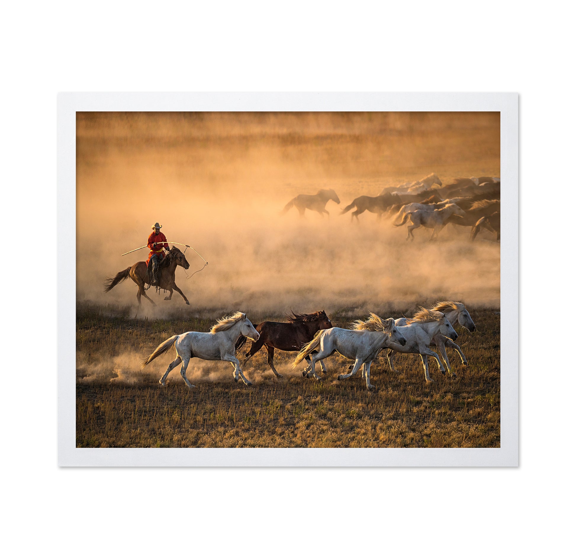 Mongolia Horses No 1