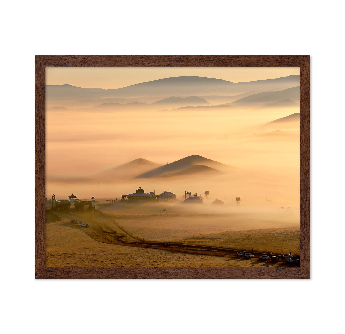 Grassland Fog