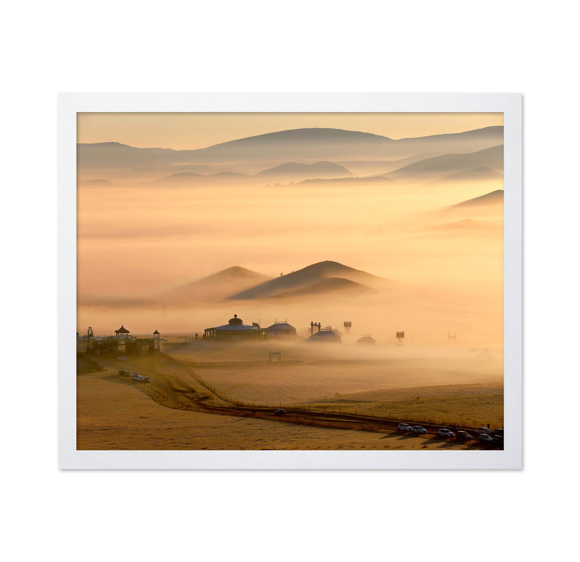 Grassland Fog