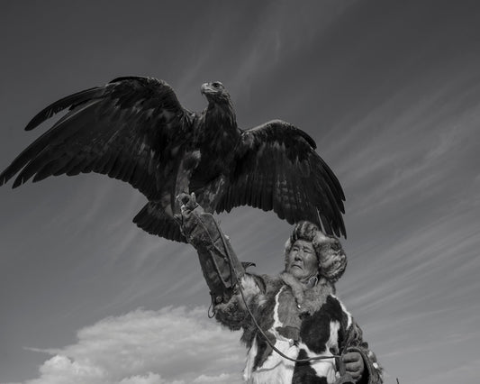 The Eagle�s Call