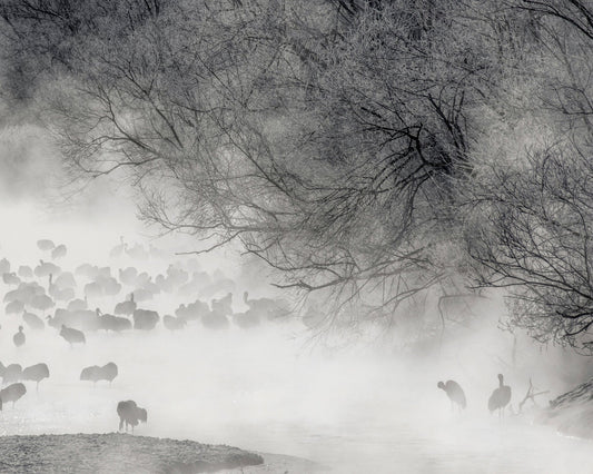 Winter Song