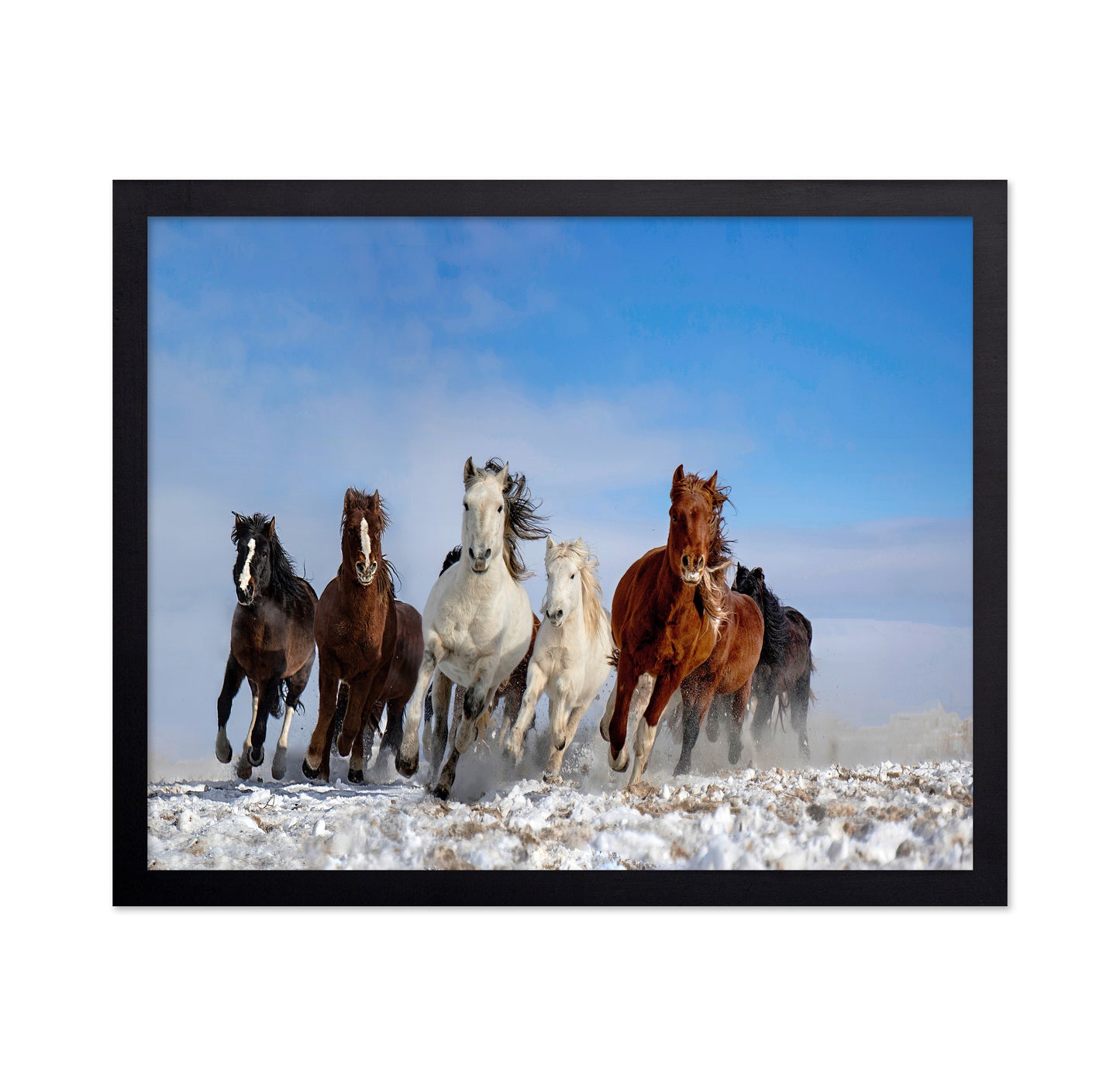 Mongolia Horses No 2