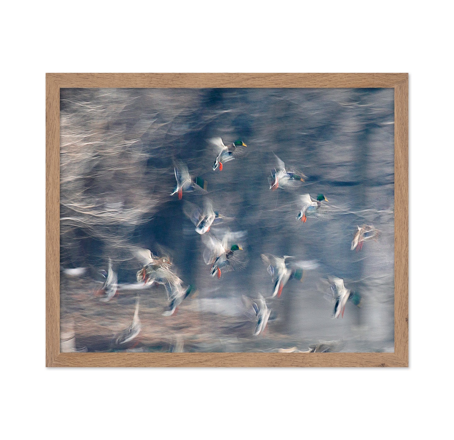Flying Ducks