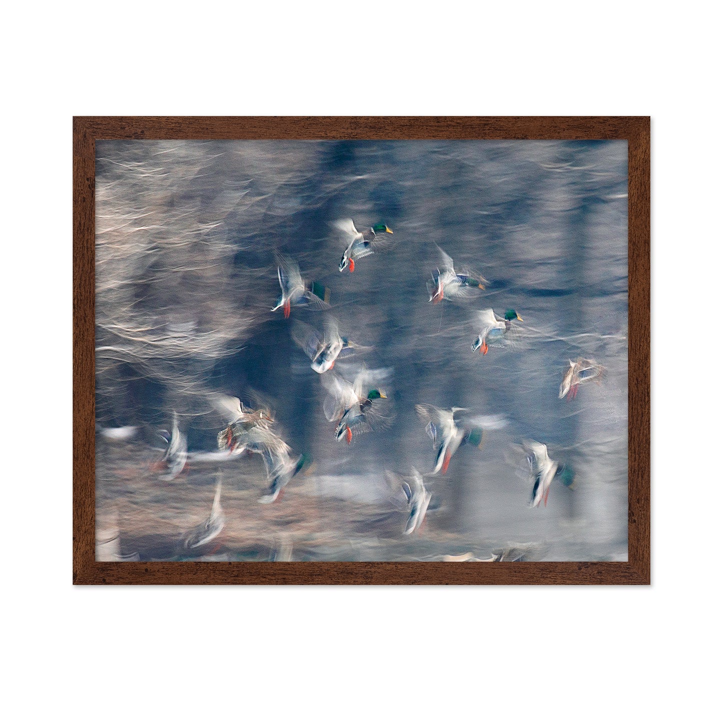 Flying Ducks