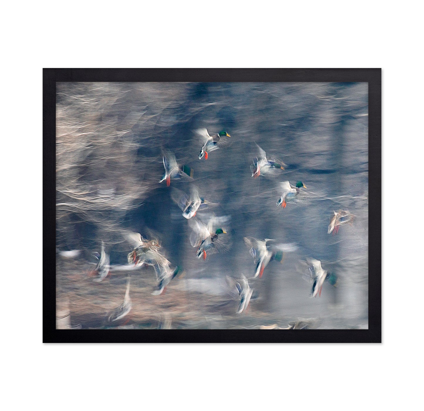 Flying Ducks