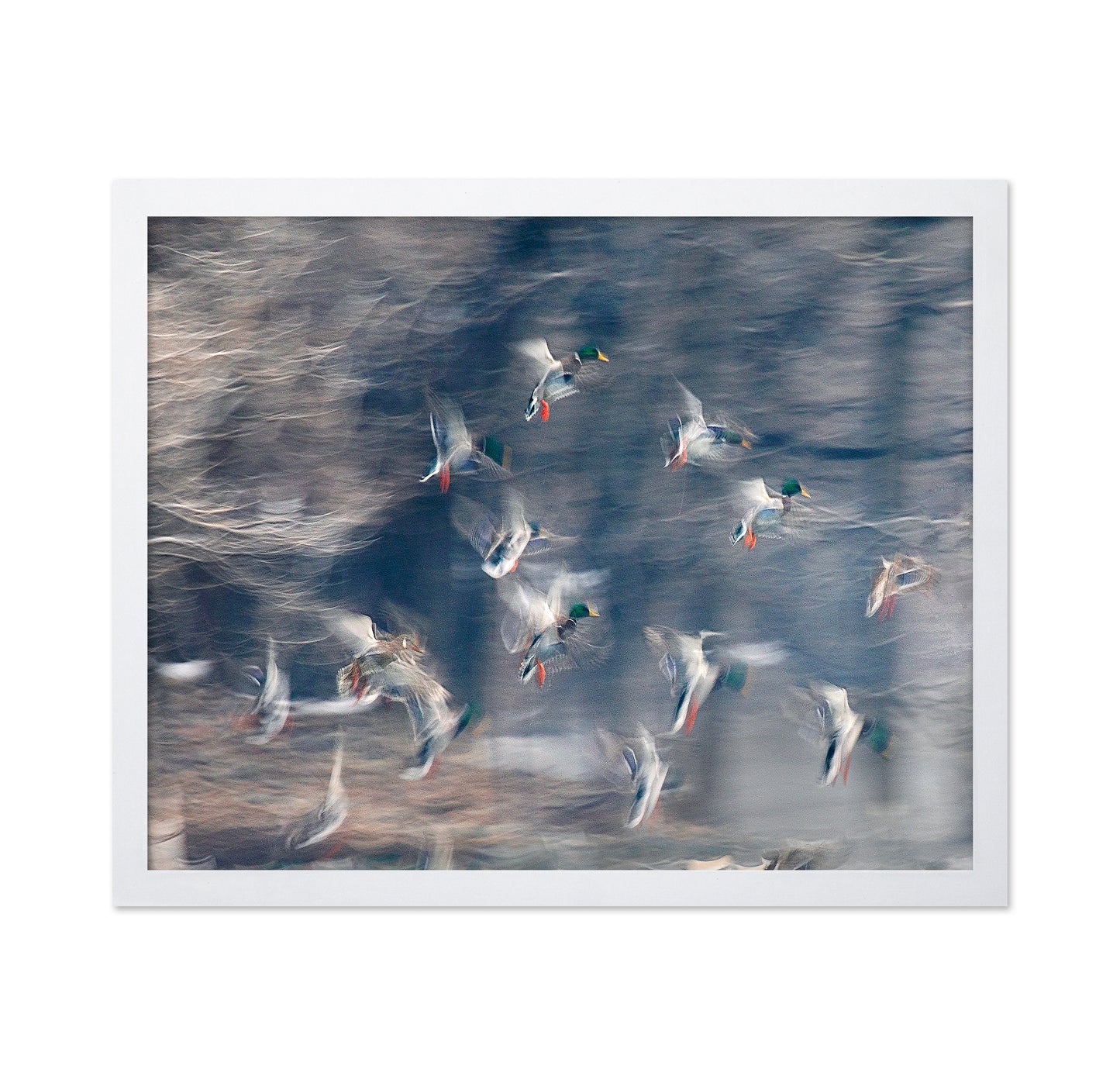 Flying Ducks