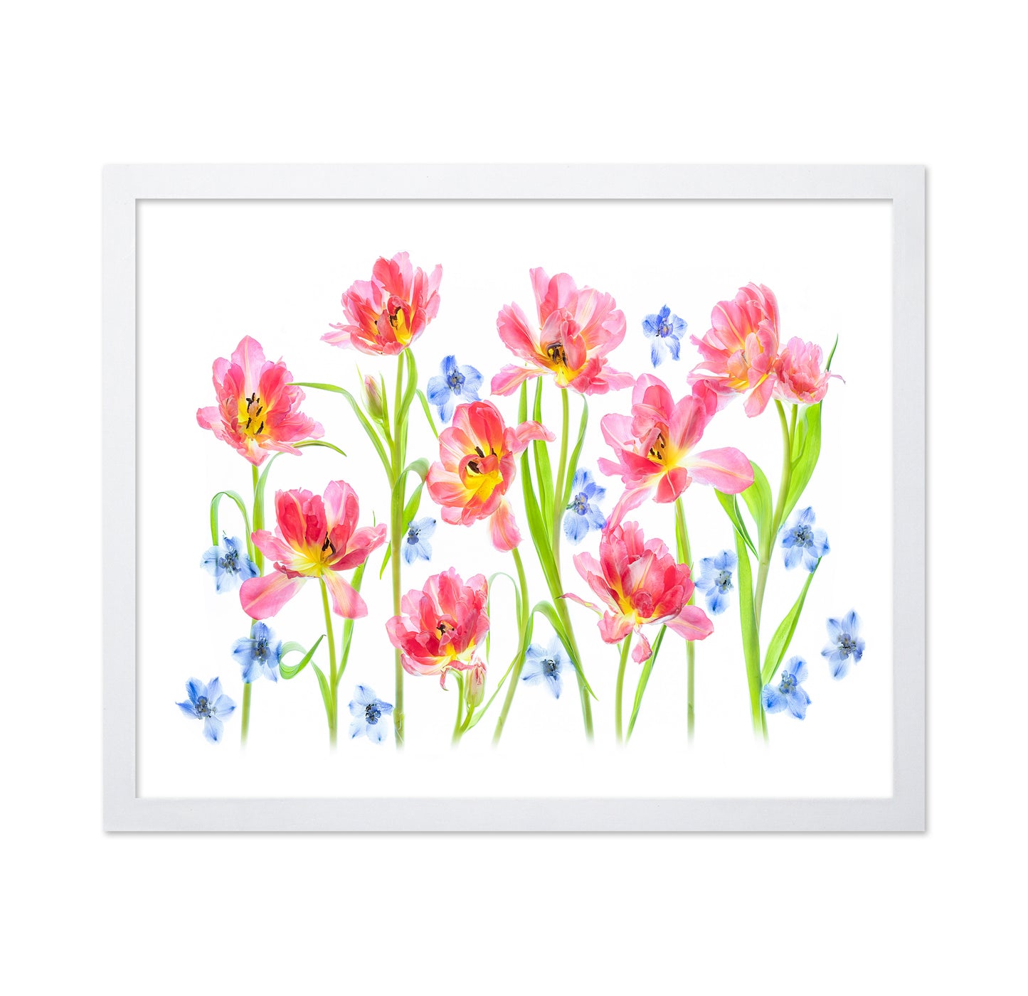 Spring Delight