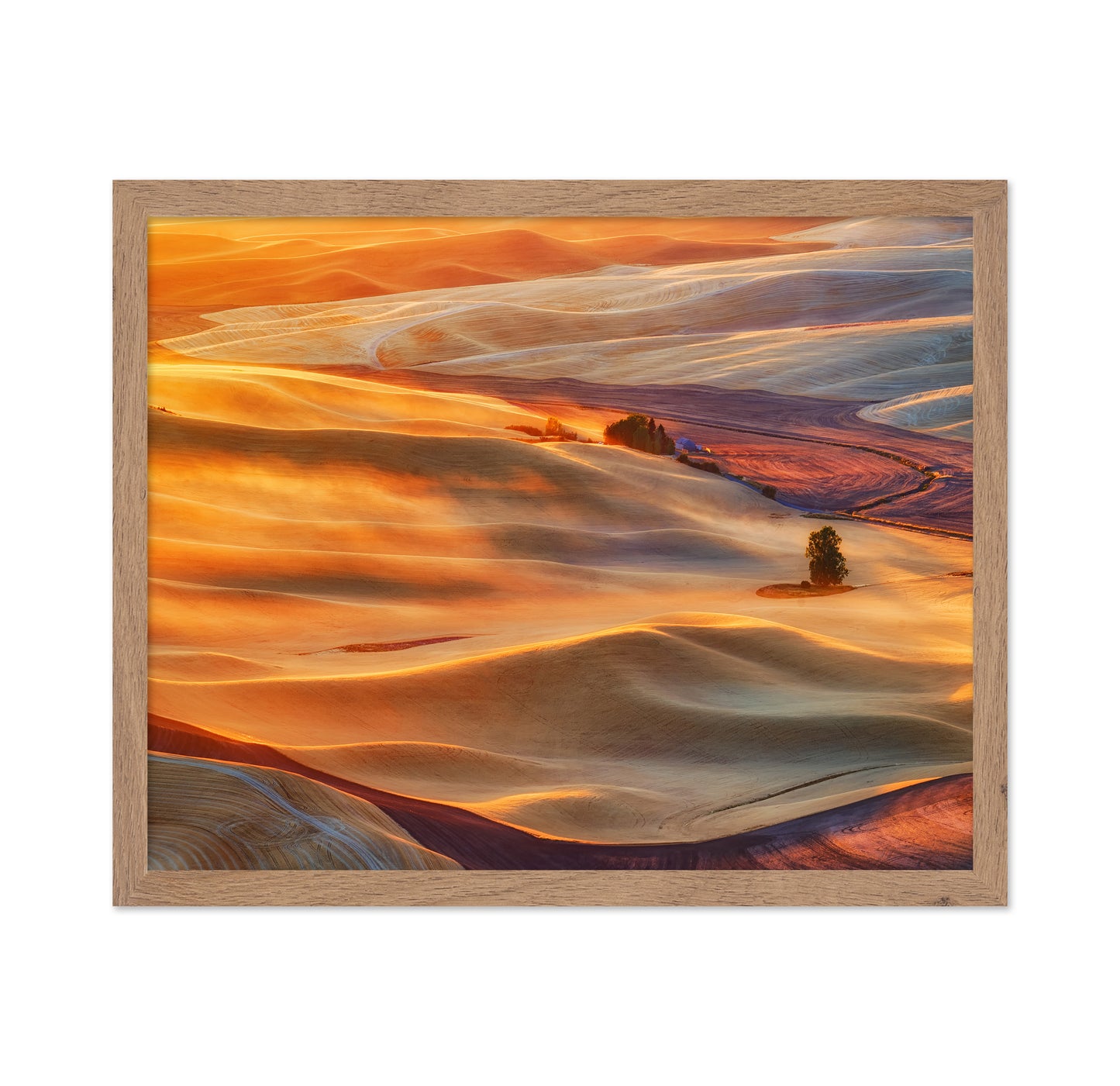 Golden Palouse